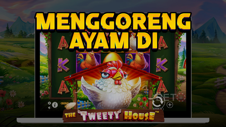 MENGGORENG AYAM DI THE TWEETY HOUSE